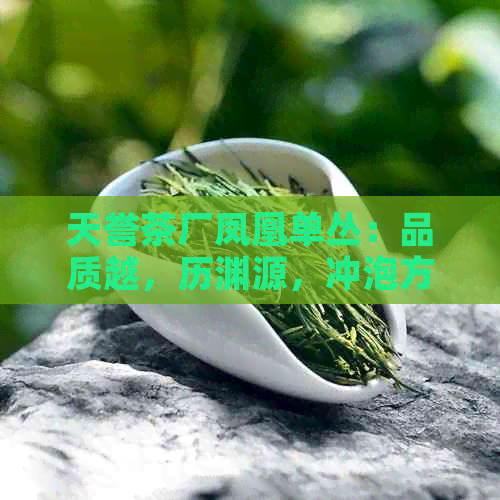 天誉茶厂凤凰单丛：品质越，历渊源，冲泡方法与品鉴要点一应俱全