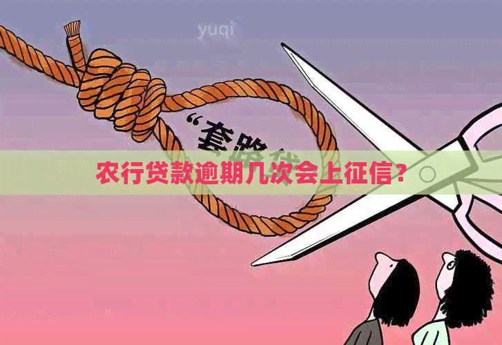 农行贷款逾期几次会上？