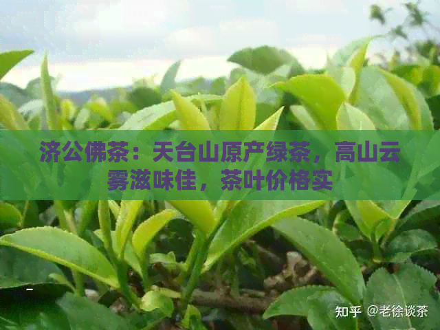 济公佛茶：天台山原产绿茶，高山云雾滋味佳，茶叶价格实