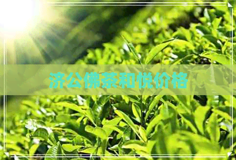 济公佛茶和悦价格