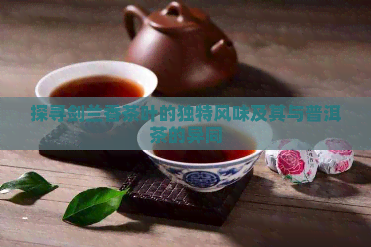 探寻剑兰香茶叶的独特风味及其与普洱茶的异同