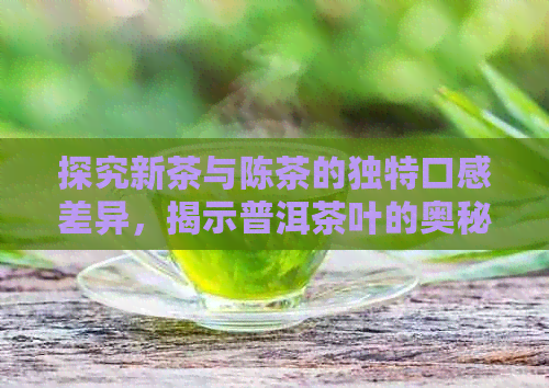 探究新茶与陈茶的独特口感差异，揭示普洱茶叶的奥秘