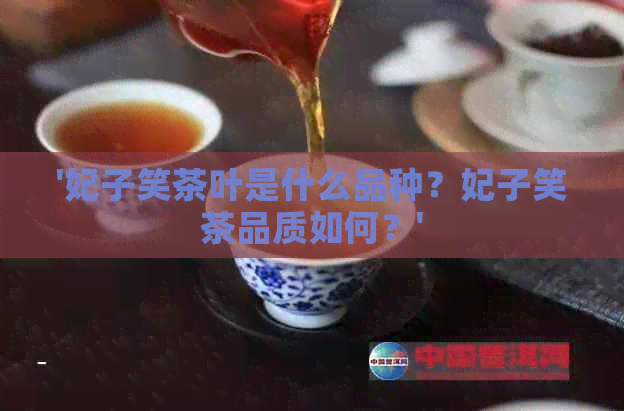 '妃子笑茶叶是什么品种？妃子笑茶品质如何？'