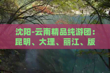 沈阳-云南精品纯游团：昆明、大理、丽江、版纳双飞6日游报价