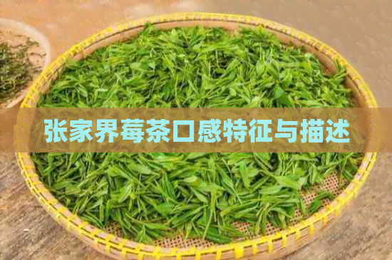 张家界莓茶口感特征与描述