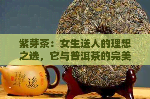 紫芽茶：女生送人的理想之选，它与普洱茶的完美融合