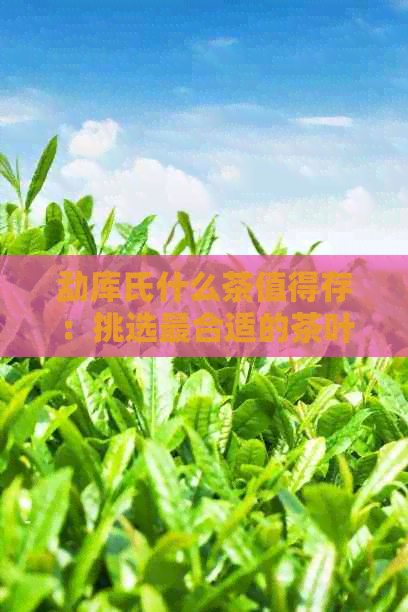 勐库氏什么茶值得存：挑选最合适的茶叶