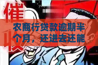 农商行贷款逾期半个月，还进去还能用吗？安全吗？