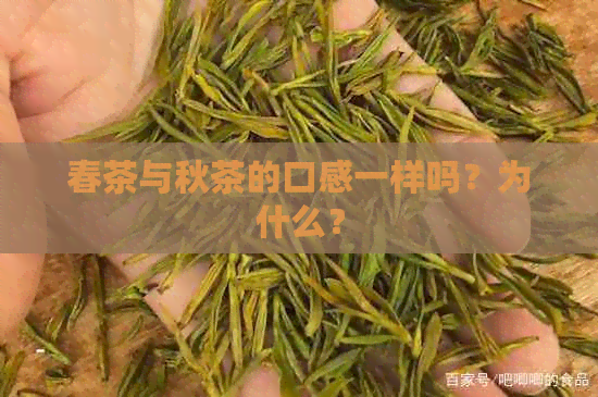 春茶与秋茶的口感一样吗？为什么？