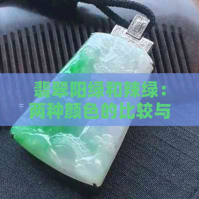 翡翠阳绿和辣绿：两种颜色的比较与选择建议