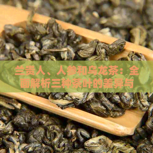 兰贵人、人参和乌龙茶：全面解析三种茶叶的差异与特点