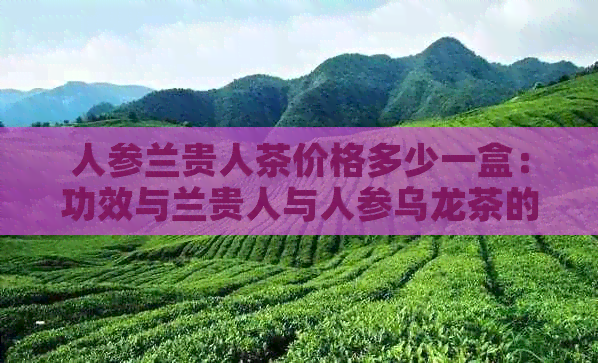 人参兰贵人茶价格多少一盒：功效与兰贵人与人参乌龙茶的区别