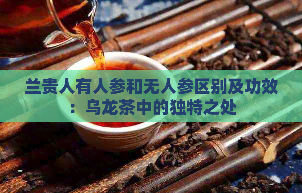 兰贵人有人参和无人参区别及功效：乌龙茶中的独特之处