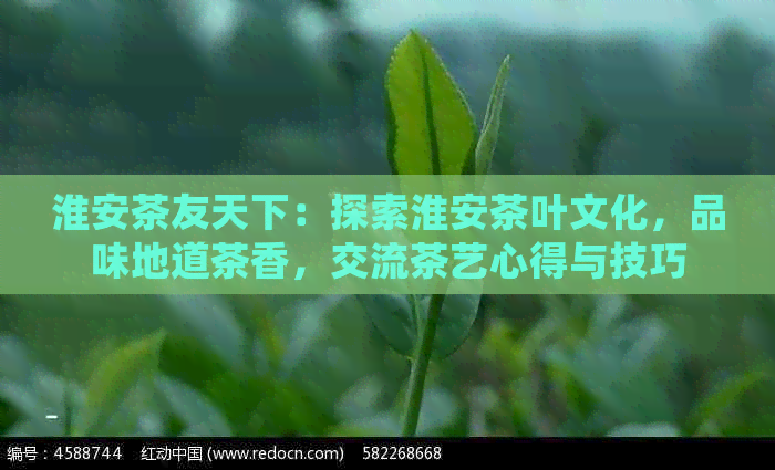 淮安茶友天下：探索淮安茶叶文化，品味地道茶香，交流茶艺心得与技巧