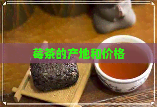 莓茶的产地和价格