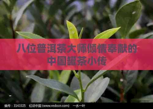 八位普洱茶大师倾情奉献的中国罐茶小传