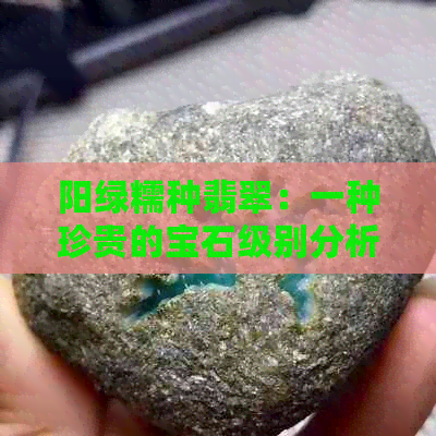 阳绿糯种翡翠：一种珍贵的宝石级别分析