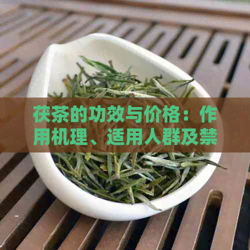 茯茶的功效与价格：作用机理、适用人群及禁忌症一览