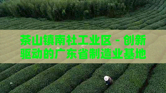 茶山镇南社工业区 - 创新驱动的广东省制造业基地