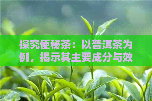 探究便秘茶：以普洱茶为例，揭示其主要成分与效果