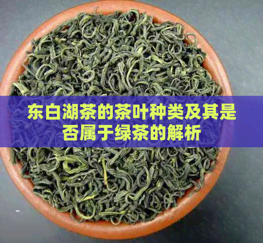 东白湖茶的茶叶种类及其是否属于绿茶的解析