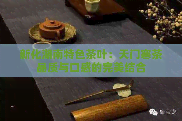 新化湖南特色茶叶：天门寒茶品质与口感的完美结合