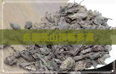 东莞茶山顶有多高