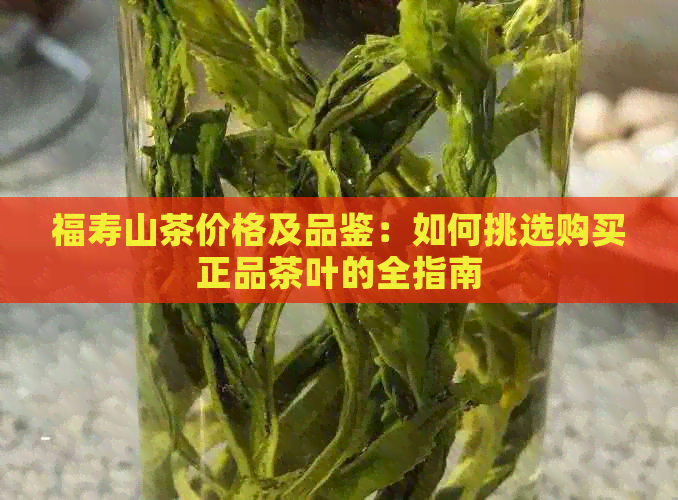 福寿山茶价格及品鉴：如何挑选购买正品茶叶的全指南