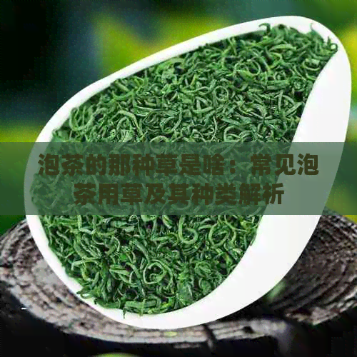 泡茶的那种草是啥：常见泡茶用草及其种类解析