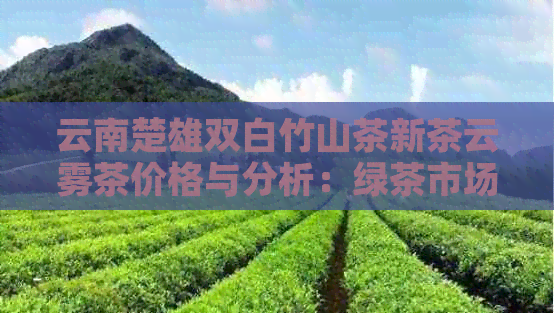 云南楚雄双白竹山茶新茶云雾茶价格与分析：绿茶市场探析