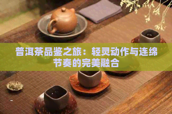 普洱茶品鉴之旅：轻灵动作与连绵节奏的完美融合