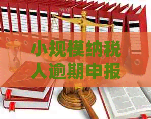 小规模纳税人逾期申报解决方案：详细步骤与操作指南