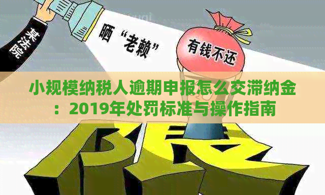 小规模纳税人逾期申报怎么交滞纳金：2019年处罚标准与操作指南