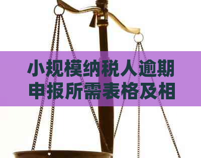 小规模纳税人逾期申报所需表格及相关处理措全解析