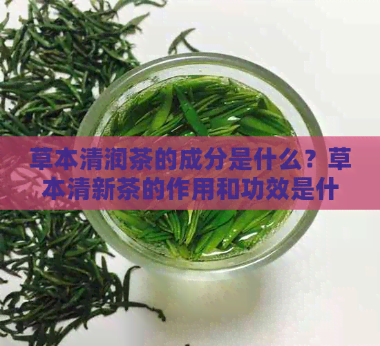 草本清润茶的成分是什么？草本清新茶的作用和功效是什么？