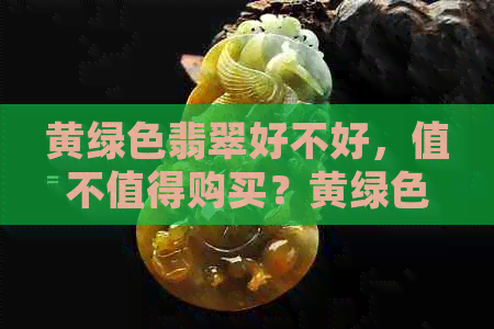 黄绿色翡翠好不好，值不值得购买？黄绿色的翡翠是什么颜色？