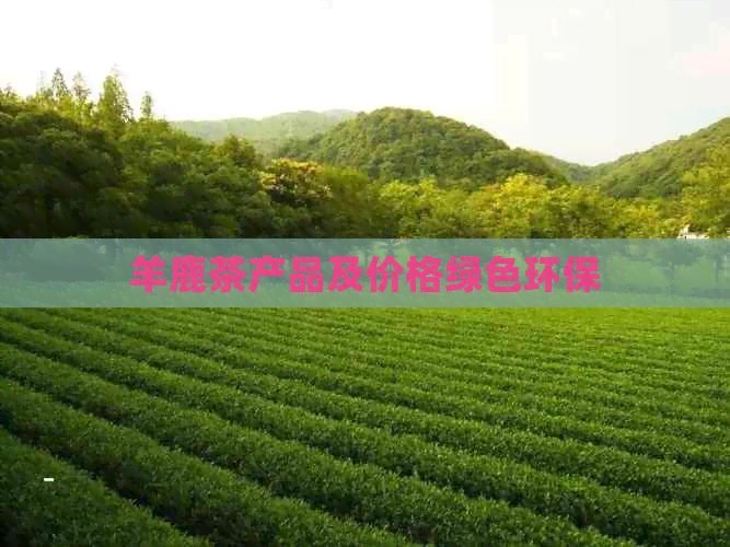 羊鹿茶产品及价格绿色环保