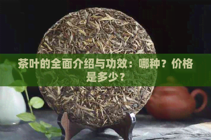 茶叶的全面介绍与功效：哪种？价格是多少？