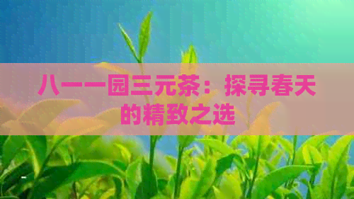 八一一园三元茶：探寻春天的精致之选