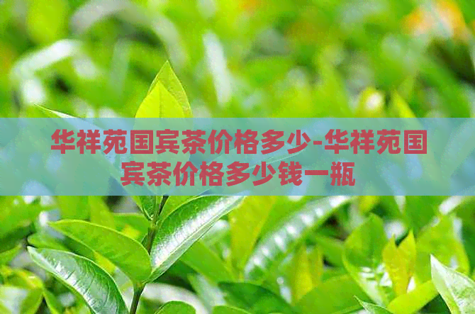 华祥苑国宾茶价格多少-华祥苑国宾茶价格多少钱一瓶