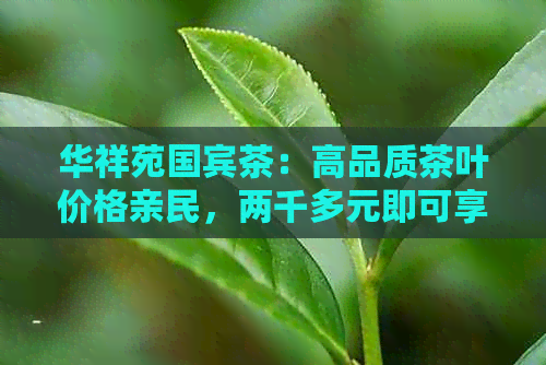 华祥苑国宾茶：高品质茶叶价格亲民，两千多元即可享受独特风味