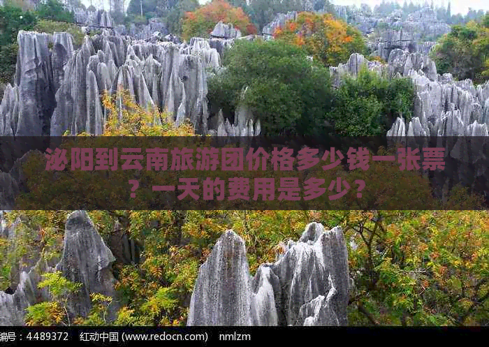 泌阳到云南旅游团价格多少钱一张票？一天的费用是多少？