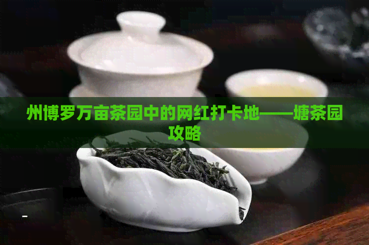 州博罗万亩茶园中的网红打卡地——塘茶园攻略