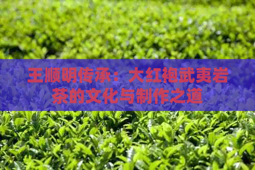 王顺明传承：大红袍武夷岩茶的文化与制作之道