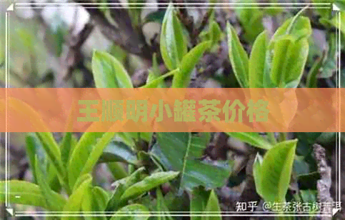 王顺明小罐茶价格