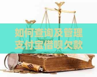 如何查询及管理支付宝借呗欠款账户？