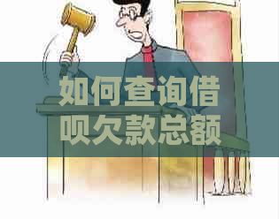 如何查询借呗欠款总额及其还款计划？解答用户关于借呗欠款查询的各种疑问