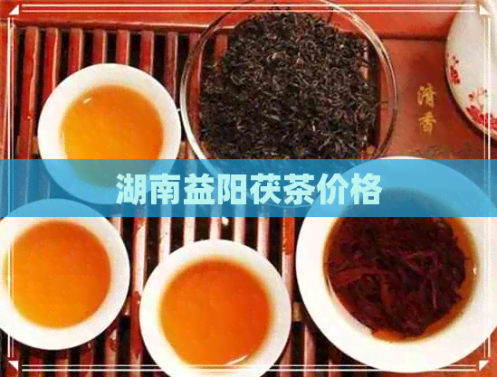 湖南益阳茯茶价格