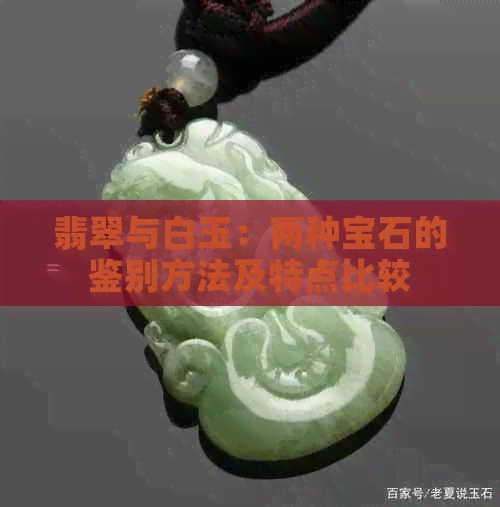 翡翠与白玉：两种宝石的鉴别方法及特点比较