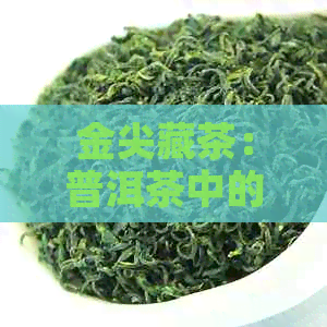 金尖藏茶：普洱茶中的璀璨瑰宝，探索其独特风味与功效